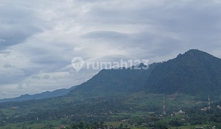 Affordable Land, Ideal for Investment, Strategic Location, Flood-Free, Certified Title Affordable Land, Ideal for Investment, Strategic Location, Flood-Free, Certified Title