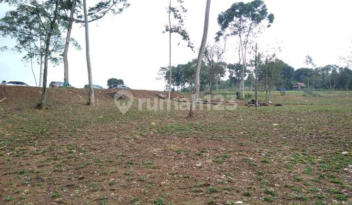Affordable Land Near Tourist Area Flood-Free Cool Air SHM Affordable Land Near Tourist Area Flood-Free Cool Air SHM