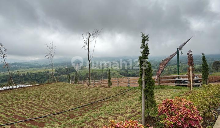 Limited Supply of Land Ready to Build with Paved Road Free SHM Limited Supply of Land Ready to Build with Paved Road Free SHM