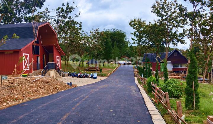 Tanah Murah Lokasi Strategis Cocok Buat Investasi Bbas Banjir SHM Tanah Murah Lokasi Strategis Cocok Buat Investasi Bbas Banjir SHM