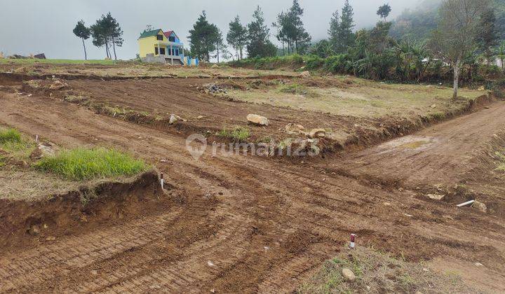 Di Jual Cepat Tanah Murah Di Puncak 2 Bogor 2