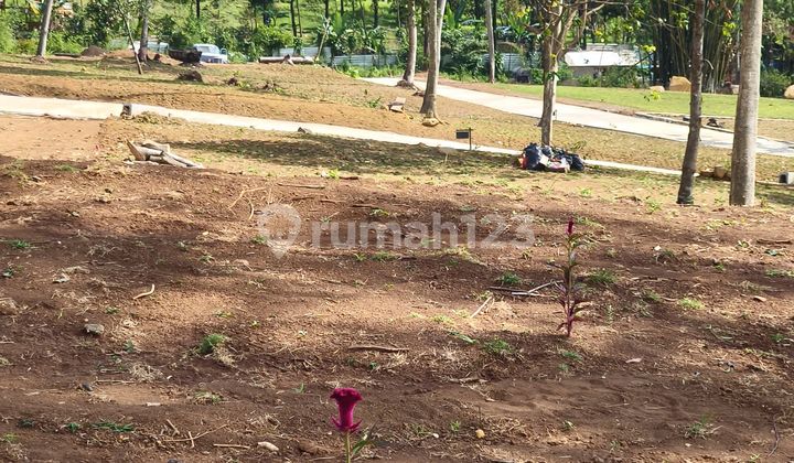 Tanah Murah Lokasi Strategis Siap Bangun Bebas Banjir Free SHM Tanah Murah Lokasi Strategis Siap Bangun Bebas Banjir Free SHM