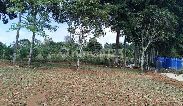 Tanah Murah Cocok Bangun Villa Udara Sejuk Bebas Banjir Free SHM