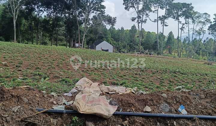 Tanah Murah Lokasi Strategis Bebas Banjir Jalan di Cor Free SHM