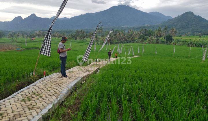 Di Jual Cepat Sawah Murah Pinggir Jalan Dekat Kramat Jati Jakarta 2