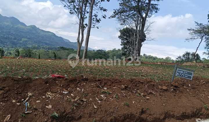 Affordable Land Flood-Free Strategic Location Cool Air Free SHM