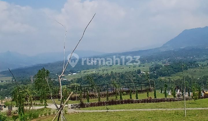 Cheap Land Near Jakarta Only 60 Minutes from Cibubur Toll Exit Cheap Land Near Jakarta Only 60 Minutes from Cibubur Toll Exit