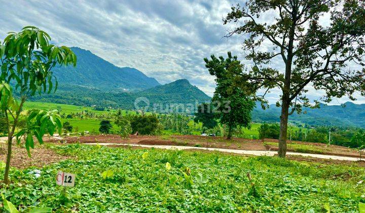 Dijual Cepat Tanah Murah Bebas Banjir Lokasi Dekat Depok Cinere Sawangan Cibubur Jakarta View Pegunungan 1