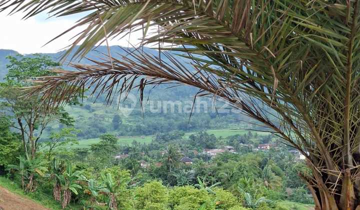 Tanah SHM 500.0 M² di Bogor dengan View Pegunungan Bebas Banjir Tanah SHM 500.0 M² di Bogor dengan View Pegunungan Bebas Banjir