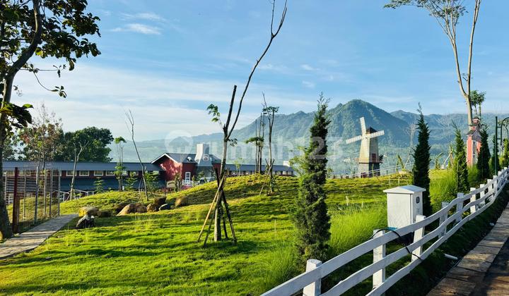 Tanah Sertifikat SHM Hadap Gunung Akses Mobil Jalan Lebar Tanah Sertifikat SHM Hadap Gunung Akses Mobil Jalan Lebar