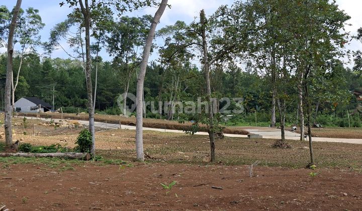 Tanah Kavling Pinggir Jalan View Pegunungan Free