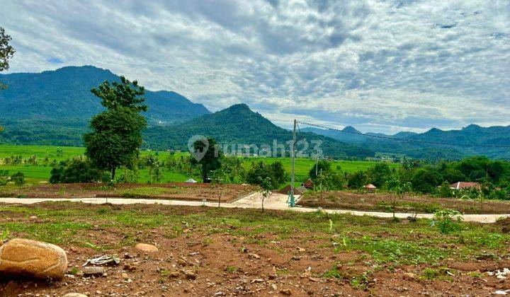 Tanah Murah Di Jual Cepat Lokasi Dekat Depok, Cinere, Sawangan, Cibubur Dan Jakarta 2