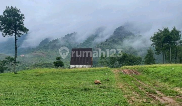 Jual Cepat Tanah Pinggir Jalan Dekat Cinere, Depok, Sawangan, Jakarta, Tangsel, Bekasi Jual Cepat Tanah Pinggir Jalan Dekat Cinere, Depok, Sawangan, Jakarta, Tangsel, Bekasi