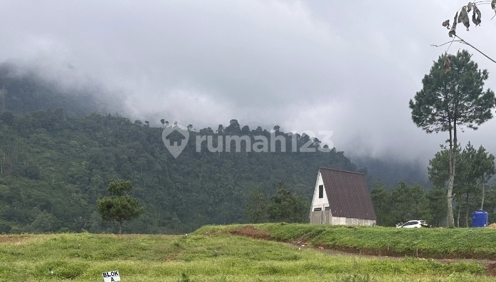 Jual Cepat Kavling Tanah Murah Pinggir Jalan Dekat Wisata Alam View Pegunungan Dekat Jakarta, Depok, Cinere, Bekasi Jual Cepat Kavling Tanah Murah Pinggir Jalan Dekat Wisata Alam View Pegunungan Dekat Jakarta, Depok, Cinere, Bekasi