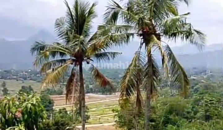 Jual Cepat Tanah Murah Pinggir Jalan Propinsi View Persawahan Dan Pegunungan Dekat Jakarta, Depok, Cinere, Sawangan, Cibubur, Bekasi 1
