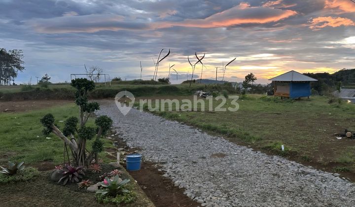 Quick Sale of Cheap Land Plots by the Roadside Near Natural Tourist Attractions with Mountain Views Close to Jakarta, Depok, Cinere, Bekasi, Cikarang Strategic Location. Quick Sale of Cheap Land Plots by the Roadside Near Natural Tourist Attractions with Mountain Views Close to Jakarta, Depok, Cinere, Bekasi, Cikarang Strategic Location.