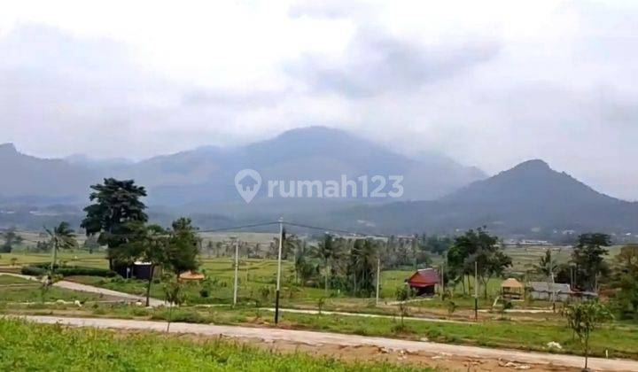 Jual Cepat Tanah Murah Pinggir Jalan Propinsi View Persawahan Dan Pegunungan Dekat Jakarta, Depok, Cinere, Sawangan, Cibubur, Bekasi 2