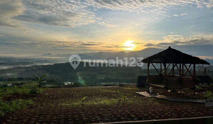 Jual Cepat Tanah Pinggir Jalan Legalitas Aman, Cinere, Depok, Sawangan, Jakarta Selatan, Tangsel, Bogor, Bekasi Jual Cepat Tanah Pinggir Jalan Legalitas Aman, Cinere, Depok, Sawangan, Jakarta Selatan, Tangsel, Bogor, Bekasi