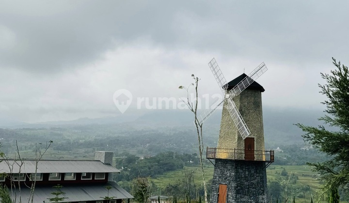 Tanah Murah Bebas Banjir Free SHM Dekat Jalur Wisata Tanah Murah Bebas Banjir Free SHM Dekat Jalur Wisata