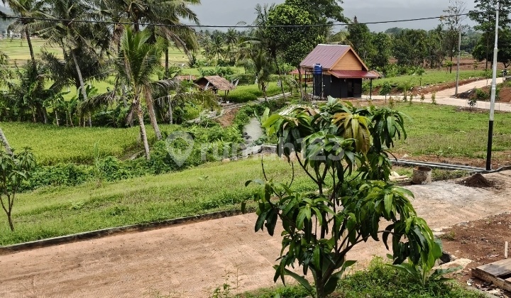 Jual Cepat Kavling Tanah Pinggir Jalan View Pegunungan Dekat Cinere, Depok, Jakarta, Bekasi, Cibubur, Bintaro Jual Cepat Kavling Tanah Pinggir Jalan View Pegunungan Dekat Cinere, Depok, Jakarta, Bekasi, Cibubur, Bintaro