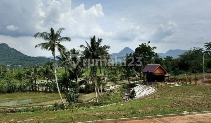 Jual Cepat Kavling Tanah Murah Pinggir View Pegunungan Dan Persawahan Dekat Cinere, Depok, Jakarta, Sawangan, Bogor, Bekasi Lokasi Strategis 1