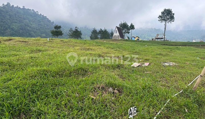 Jual Cepat Kavling Tanah Murah Pinggir Jalan Wisata View Pegunungan Dekat Jakarta, Cinere, Depok, Sawangan, Cibubur, Bekasi, Cikarang, Bintaro Jual Cepat Kavling Tanah Murah Pinggir Jalan Wisata View Pegunungan Dekat Jakarta, Cinere, Depok, Sawangan, Cibubur, Bekasi, Cikarang, Bintaro