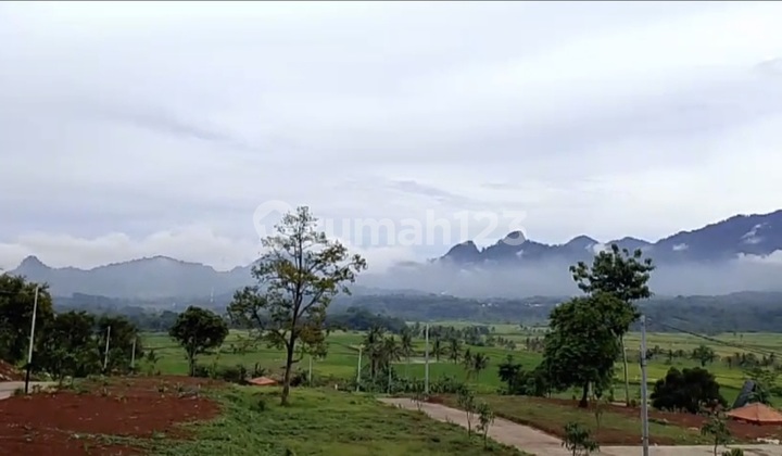 Jual Cepat Kavling Tanah Murah Pinggir Jalan Propinsi View Pegunungan Dan Persawahan Dekat Cinere, Depok, Sawangan, Bogor, Bekasi, Cikarang Jual Cepat Kavling Tanah Murah Pinggir Jalan Propinsi View Pegunungan Dan Persawahan Dekat Cinere, Depok, Sawangan, Bogor, Bekasi, Cikarang