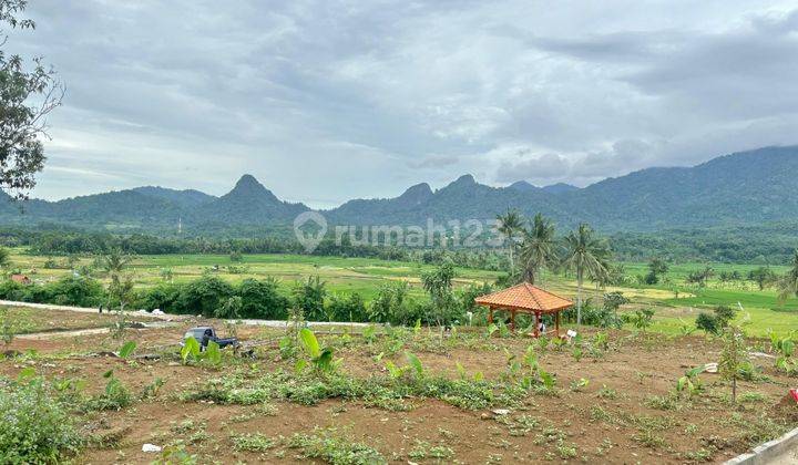 Tanah Murah Di Jual Cepat Lokasi Dekat Depok, Cinere, Sawangan, Cibubur Dan Jakarta 2