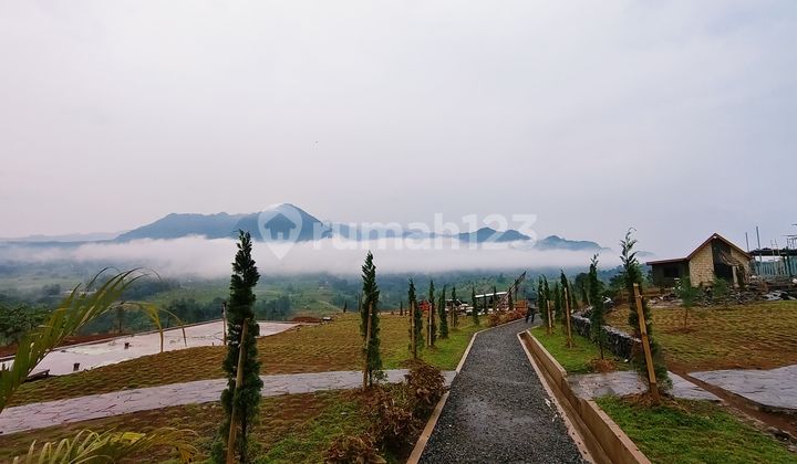 Dijual Tanah Murah Cuma 1 Jaman Dari Jakarta Free Balik Nama Dijual Tanah Murah Cuma 1 Jaman Dari Jakarta Free Balik Nama