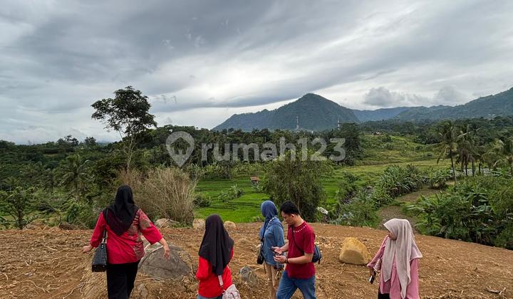 Tanah Murah Dekat Dari Jabotabek Free Balik Nama SHM Tanah Murah Dekat Dari Jabotabek Free Balik Nama SHM