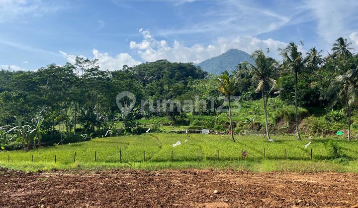 Tanah Dekat Beberapa Wisata dan Free Biaya Surat