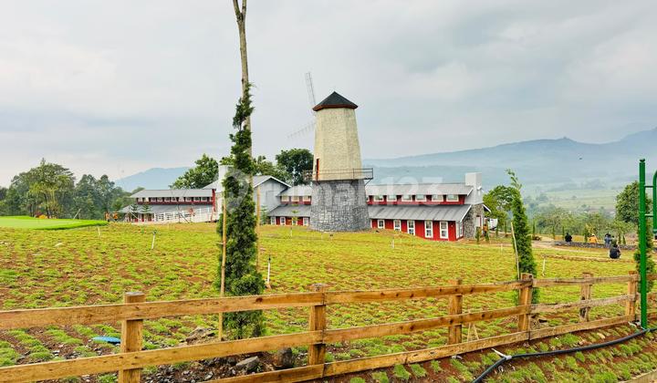 Free Mountain View Land with SHM Name Transfer Near Jakarta