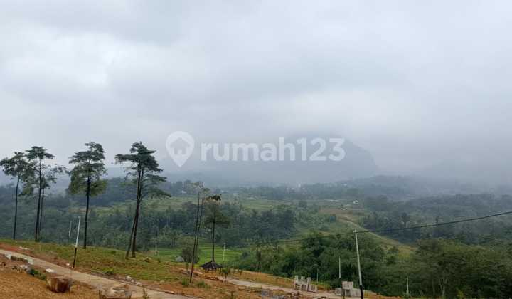 Tanah Dekat Dari Jakarta Free Biaya Balik Nama Tanah Dekat Dari Jakarta Free Biaya Balik Nama