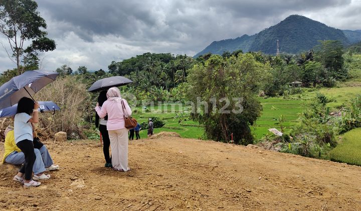 Tanah Dekat Dari Jakarta Cocok untuk Investasi Bikin Villas SHM