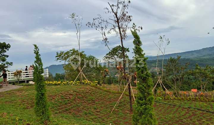 Cheap Land with SHM Free Name Transfer Just 90 Minutes From Jabotabek