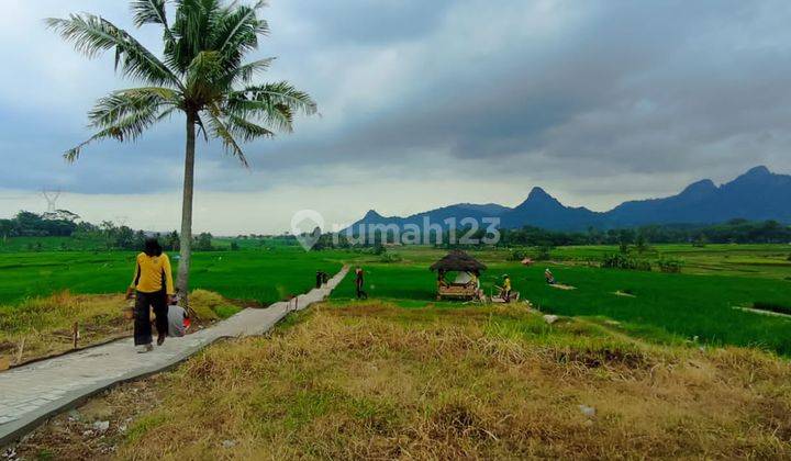 Dijual Tanah Dekat Dari Perkotaan Pinggir Jalan 2