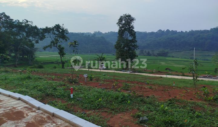Tanah Murah Di Jual Dekat Jakarta Lokas Di Bogor 1