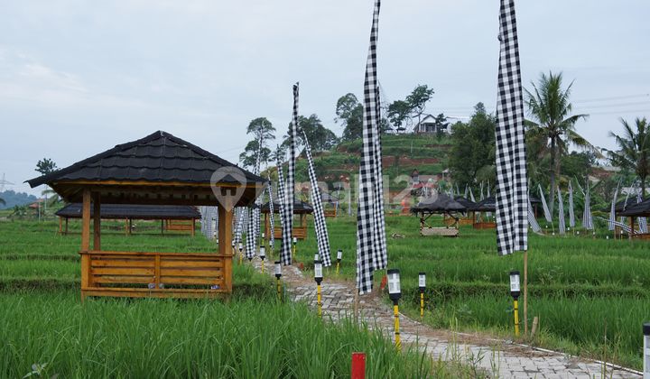 Tanah Murah Di Jual Dekat Jakarta Lokas Di Bogor 2