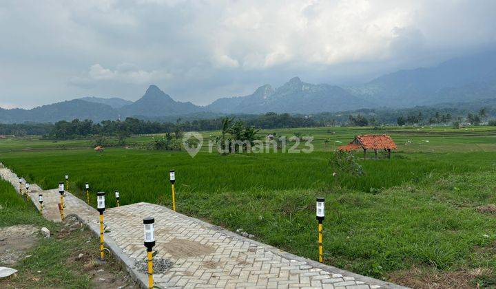 Tanah Kavling Sawah Murah Bogor Timur Harga 490 Ribu/meter Shm 1