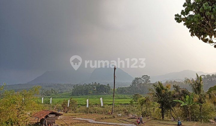 Dijual Tanah Kavling Jangan Lewatkan Kesempatan Emas Ini Bogor