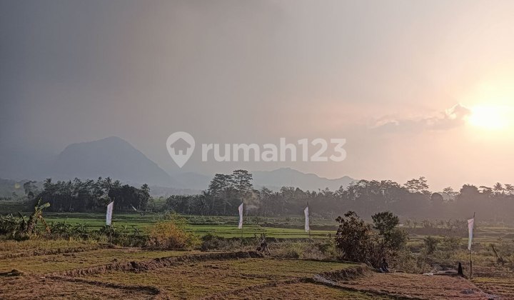 Dijual Tanah Kavling Jangan Lewatkan Kesempatan Emas Ini Bogor