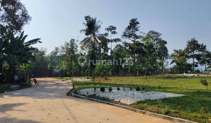 Dijual Tanah Murah Harga Terjangkau 60 Jutaan 100 Meter Bogor 2