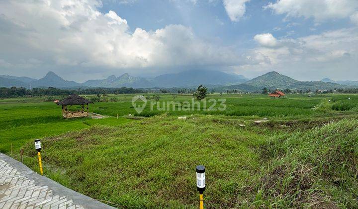 Tanah Kavling Bogor 540 Ribu/m² Strategis Pinggir Jln Provinsi  1