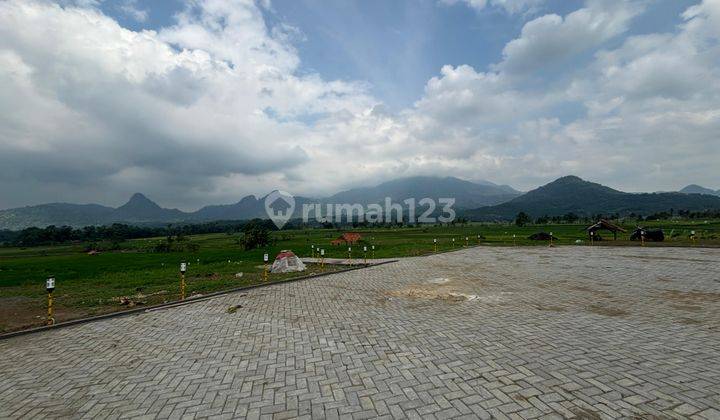 Tanah Kavling Sawah Produktif Legalitas Shm Golden View Bogor 2