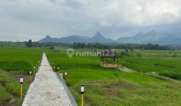 Miliki Sekarang Tanah Kavling Sawah Produktif Akses Mudah Bogor 1