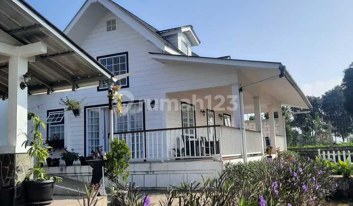 Jual Cepat. Villa Cantik, Cocok untuk Investasi. Kebunnya Luas. View Bagus. Full Furnished, Jual Murah