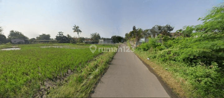 Dijual Tanah Kavling Strategis Bogor Cocok Hunian Pun Invest Cicil 12x Bunga 0  1