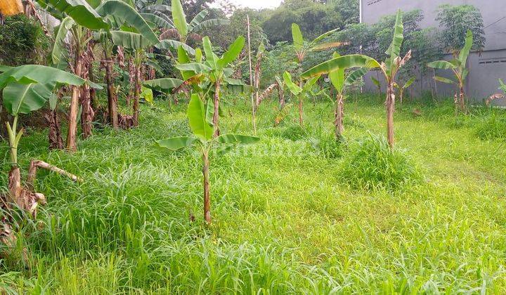 Dekat Dengan Kebun Raya Bogor Special Diskon Tanah Kavling SHM Dekat Dengan Kebun Raya Bogor Special Diskon Tanah Kavling SHM