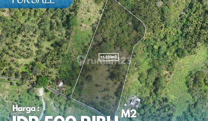 Dijual Tanah Dekat Pantai Bonian, Tabanan 1