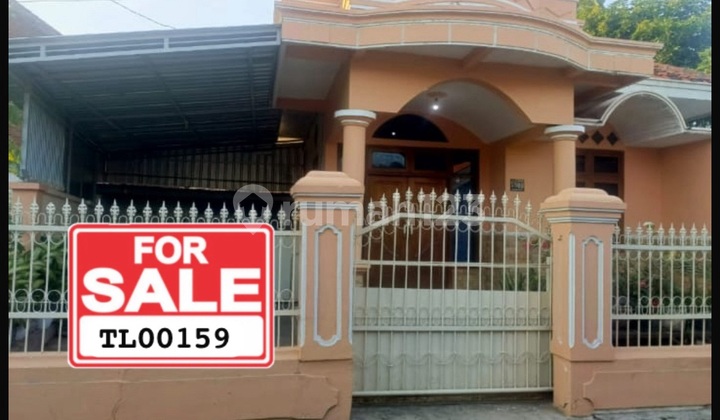 Dijual Rumah Semifurnish di Plaosa Situbondo Dijual Rumah Semifurnish di Plaosa Situbondo